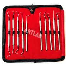 Premium Set of 12 Stainless Steel Precision Micro Probe Set Combo-Straight, S...