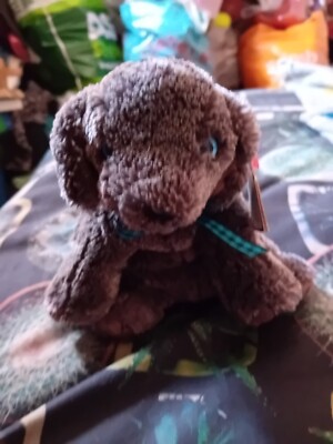 Ty Beanie Babys Frisbee der braune Hund, kleines Plüschtier, mit Etikett