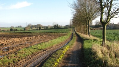 Foto 6x4 Spur durch Felder östlich von Swainsthorpe Swardeston c2015