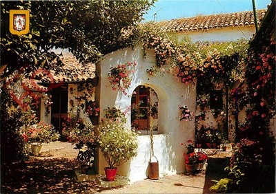 Ansichtskarte: Cordoba, Terrasse, Calle Trueque, Primer Premio