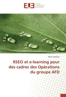 RSEO et e-learning pour des cadres des Opérations du groupe AFD Rémi Castéran