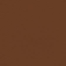 Lexus Saddle Leather Dye