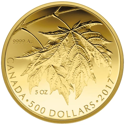 Goldmünze The Glorious Maple Leaf 2017 - Kanada - im Etui - 5 Oz PP - Bild 1 von 3