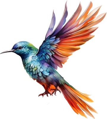 Bunter Fantasy fliegender Vogel Wandbild Schlafzimmer Dekor Vinyl Aufkleber Abziehbild 6 Größen