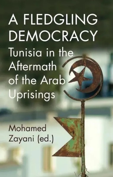 A Fledgling Democracy | Tunisia In The Aftermath Of The Arab Uprisings | Zayani-image