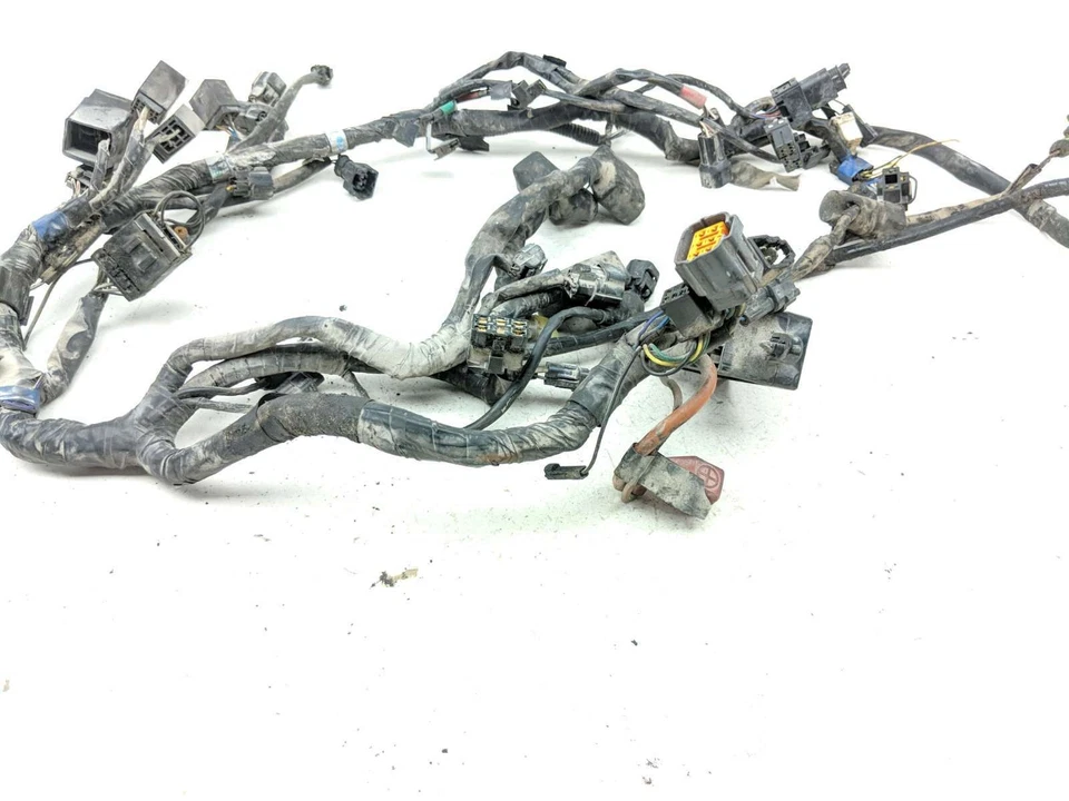 16 Triumph America Main Wiring Wire Harness Loom - Image 2 of 4