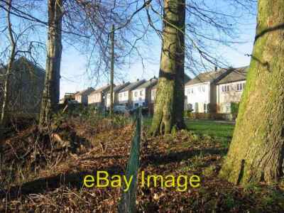 Photo 6x4 Polwarth Avenue. Brightons The trees are survivors from the bui c2005
