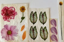 Retro Sticker Scented Caladium Leaf carnation sunflower daisy petals billy wax