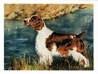 New Welsh Springer Spaniel By Water Notecard Set - 12 Note Cards Ruth Maystead