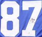 Reggie Wayne Signed Indianapolis Colts Jersey (JSA) 6xPro Bowl / Wide Receiver — photo 2