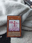 Picture 3 of 5
