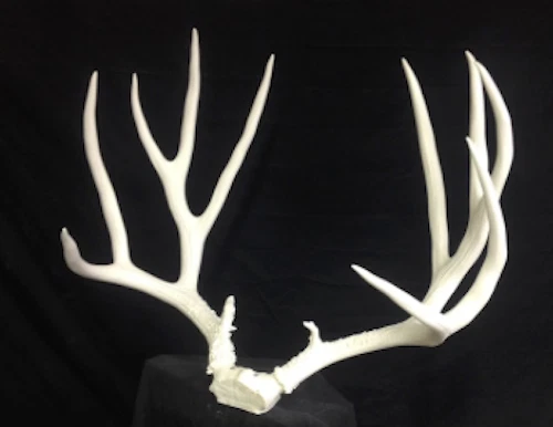 Unfinished 230" mule deer replica ,TAXIDERMY log cabin decor - Image 2 of 3