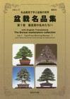 The Bonsai Masterpieces Collection 1 with English Translations