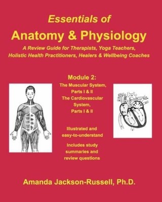 essential anatomy 3 for organizations التفعيل essential anatomy 3 for organizations التفعيل