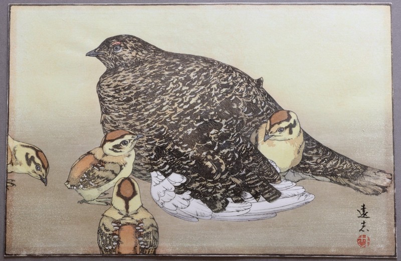 Toshi Yoshida Japanese Woodblock Print Raicho Thunderbird Rock Ptarmigan Chicks
