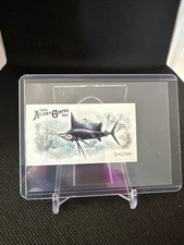 2025 Topps Allen&Ginter Mini 50 Fish From Global Waters Sailfish Card#FGW-21