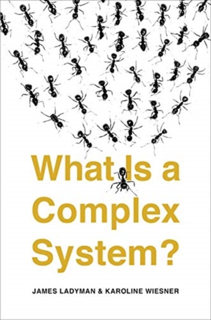 What Is a Complex System? - Image 3