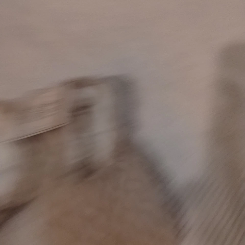 Calcetines deportivos difusos acogedores de piel Targe con pinzas talla S/M (5-7) C9 Foto 2 de 4