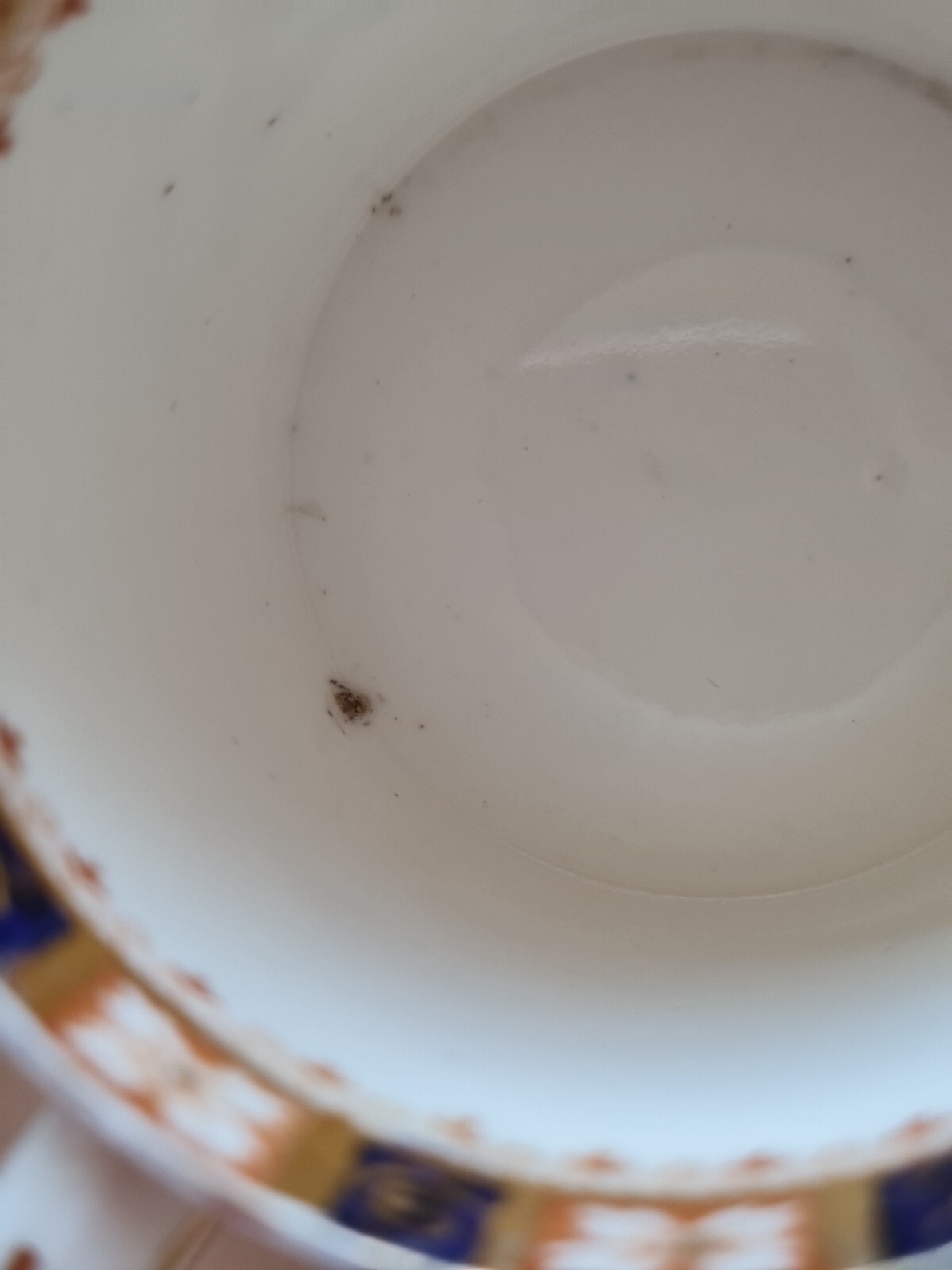 Picture 20 of 21