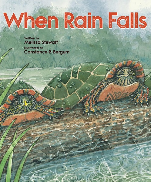 When Rain Falls | Melissa Stewart | Englisch | Taschenbuch | 2019-image