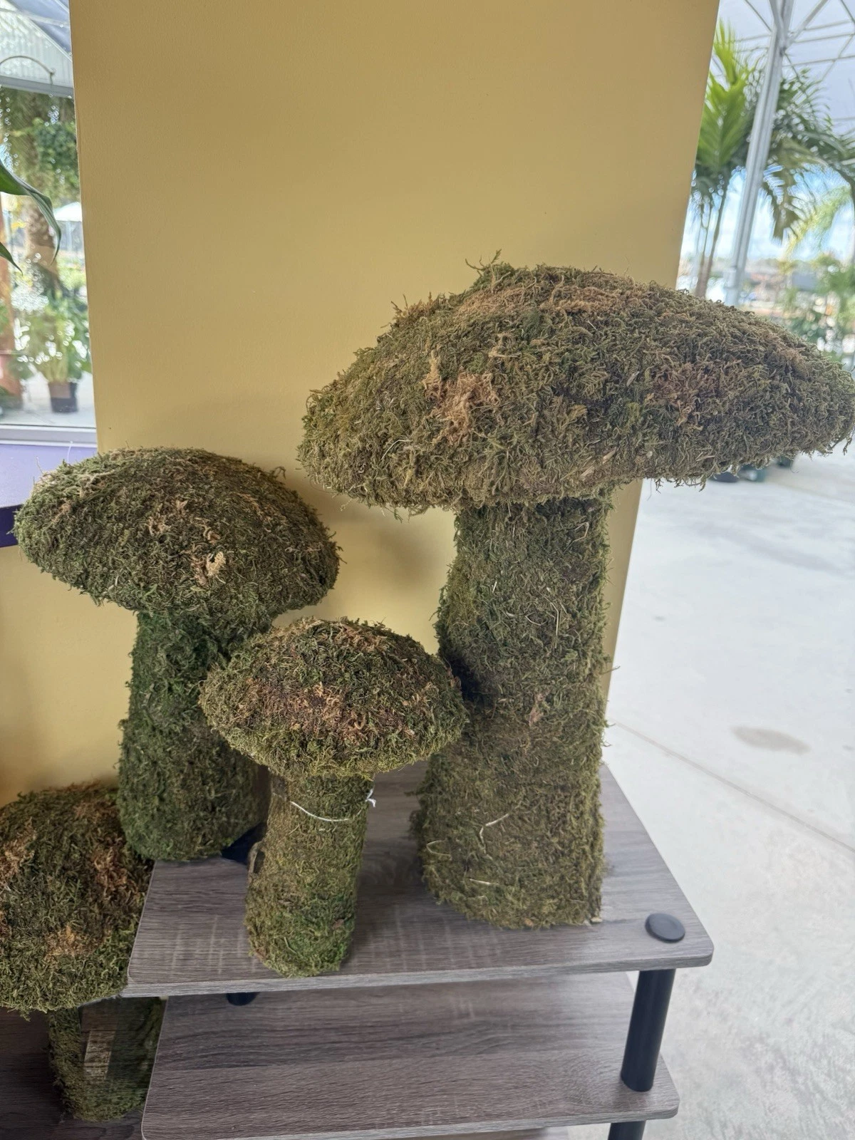moss mushrooms