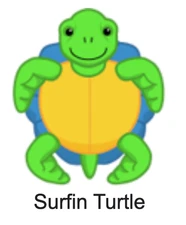 Webkinz Classic Surfin' Turtle Code Only - Virtual Pet Kinz