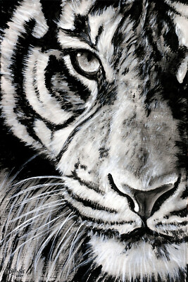 Original Art Graphic Cats ''TIGER'' Graphic, Hand Signed, Limited, NO PHOTO!
