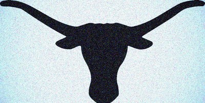 Long Horn Cow Stencil Mylar Cows Farm Animal Stencils | eBay