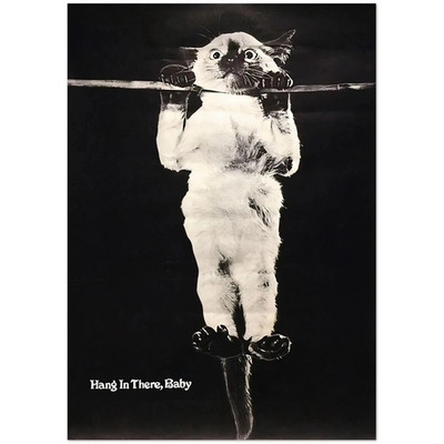 Hang In There Baby Vintage Cat Motivational Poster