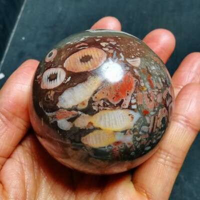 298g Natural Marine life and coral jade agate BALL 66A75+