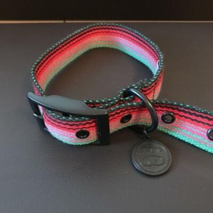 gucci dog collar ebay