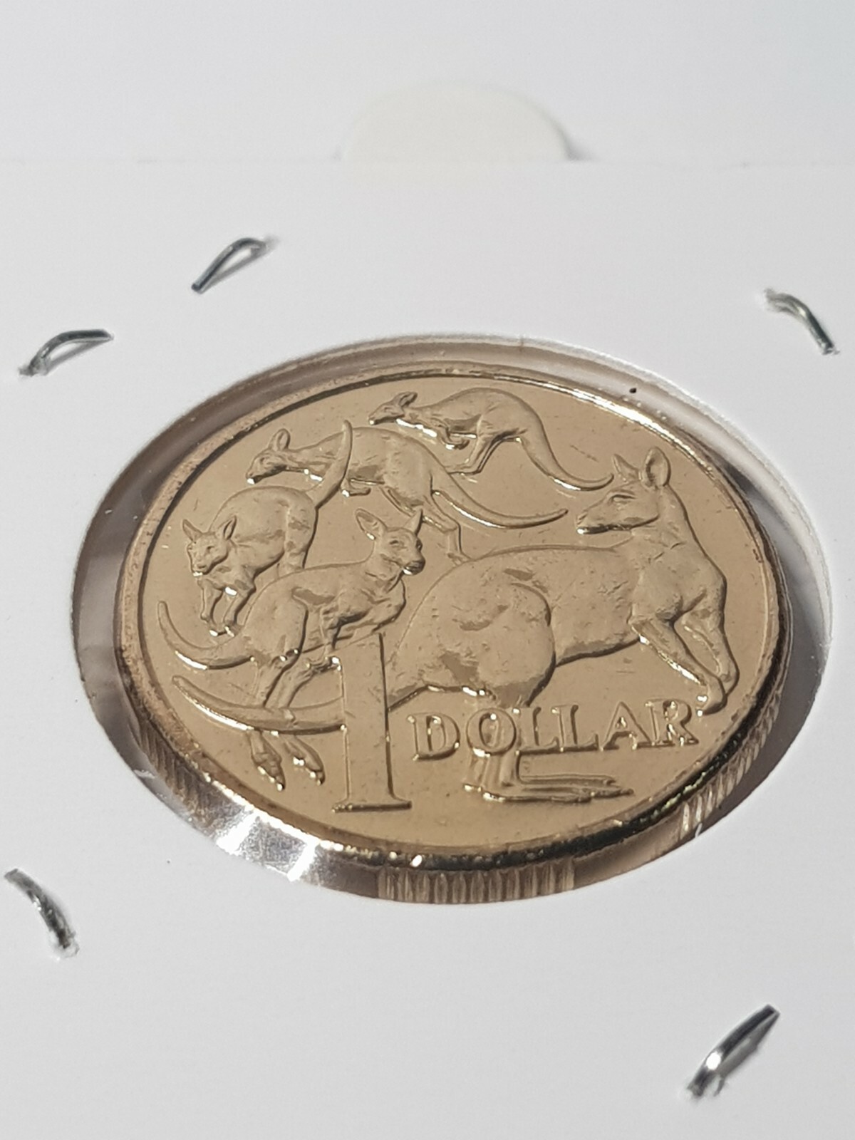 2020-1-coin-mob-of-roos-uncirculated-ex-ram-swap-bag-unc-one