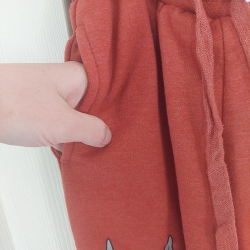 Looney Tunes Boys Burnt Orange Jogger/ Sweatpants! Boys Sz. XS! - Picture 4 of 6