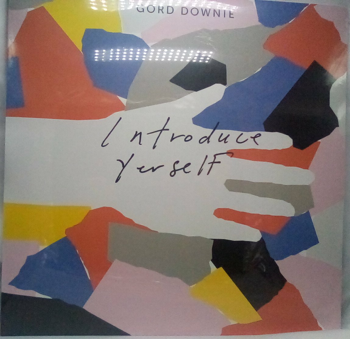 Gord  Downie Introduce Yourself L.P.  2017 Gatefold Sleeve New and sealed