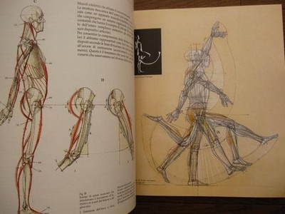 アート・デザイン・音楽 Struttura uomo in movimento Struttura uomo in movimento Manuale di anatomia artistica