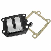DR Membranblock Mit Carbonmembrane (FüR: Aprilia Amico 50 HV 93-98 )