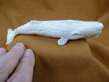 Whal-w135 large Sperm Whale of shed ANTLER figurine Bali detailed carving