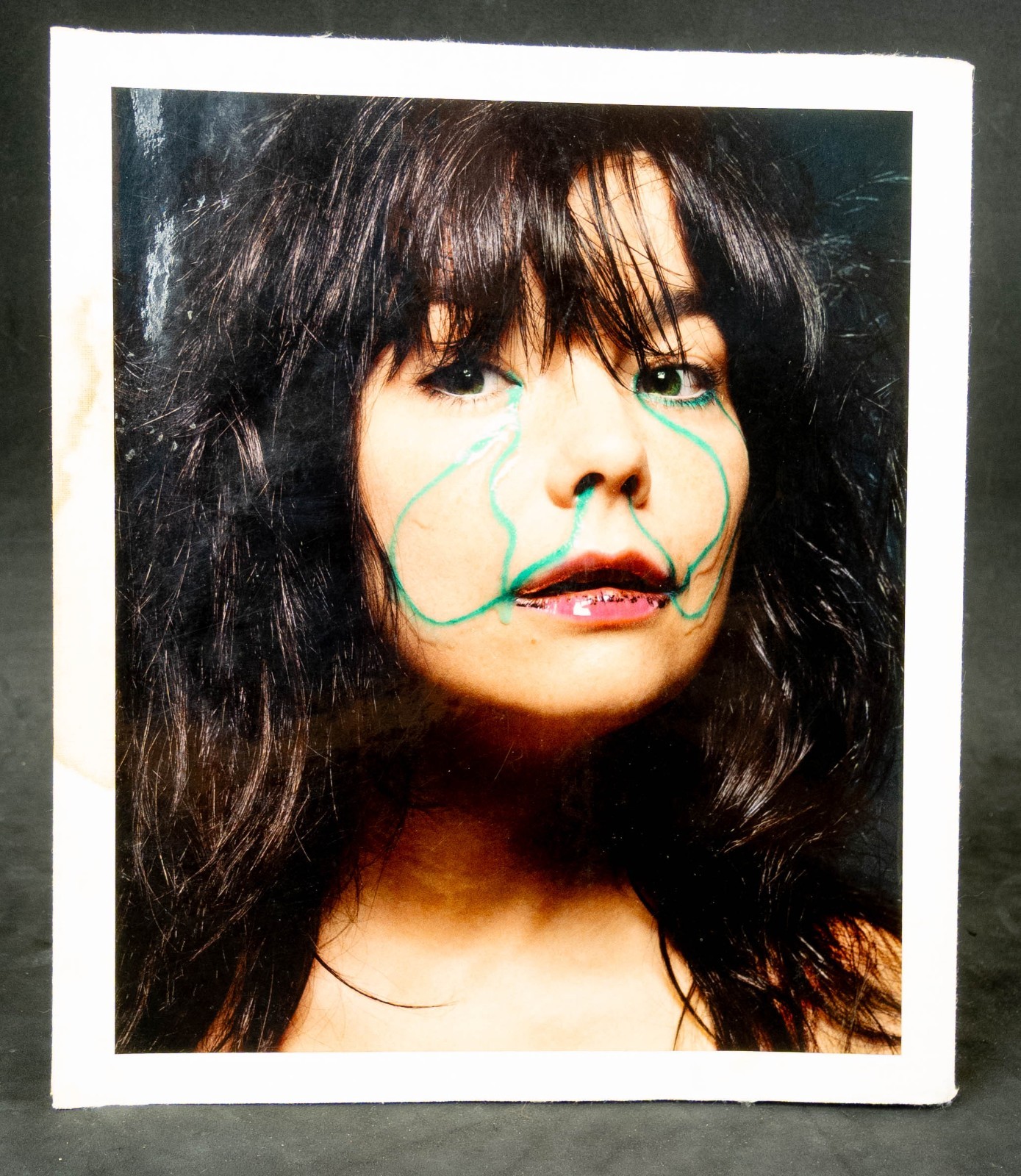 A Project By Bjork - 2001 - Vespertine - Art Photo Book - 1st Ed