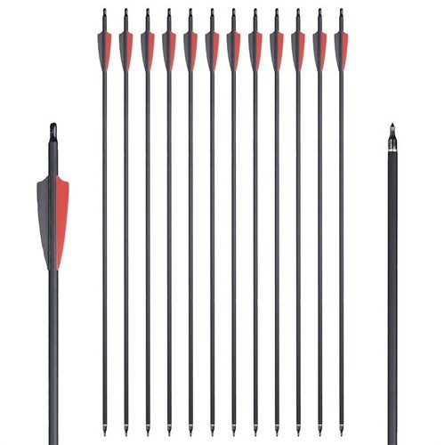12Pcs 30Inch Carbon Arrow SP500 Hunting Arrows Screw Tips Compound/Recurve Bow - Picture 13 of 17