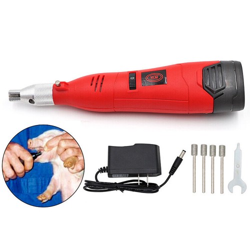 Piglets Electric Teeth Grinder Pets Teeth Grinding Tool Molar Rod 12V Battery - Picture 1 of 8