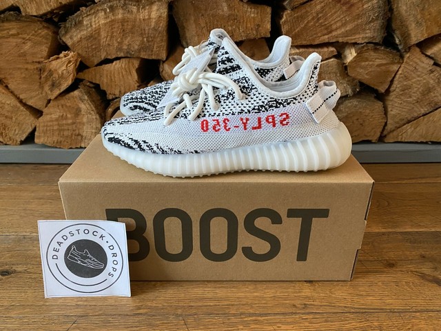 yeezy zebra 36