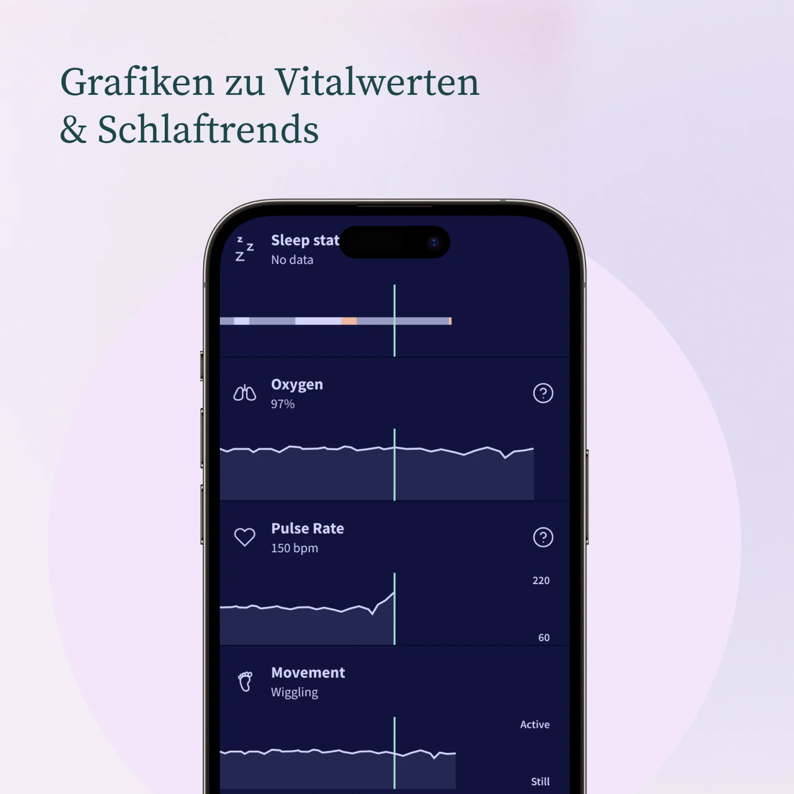 Bild 5 von 17