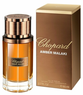 audemars piguet casio