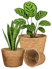 3 Sized Seagrass Planter Basket Indoor Wicker Plant Pot with Plastic Liner