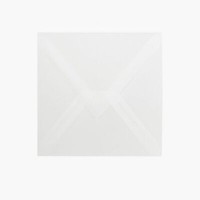 # 25 St Transparent Quadratisch Nassklebend 15,5 X 15,5 Cm