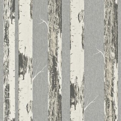 Rasch Tapete Vlies Amelie 574548 Birkenstamm silbergrau anthrazit weiß Glanz