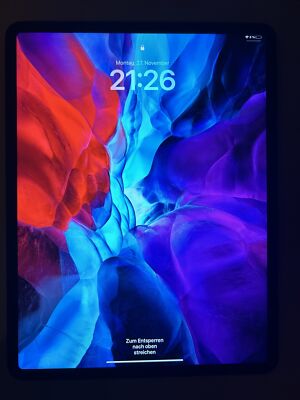 Apple iPad Pro (4. Gen) 12.9 256GB WiFi Space Gray inkl. Verpackung