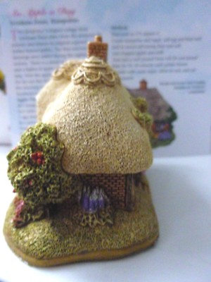 Boxed Lilliput Lane An Apple A Day Membership 20013/14 L3525