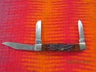 Case 63032 CV 3 Blade pocket Knife Bone Handles — photo 2