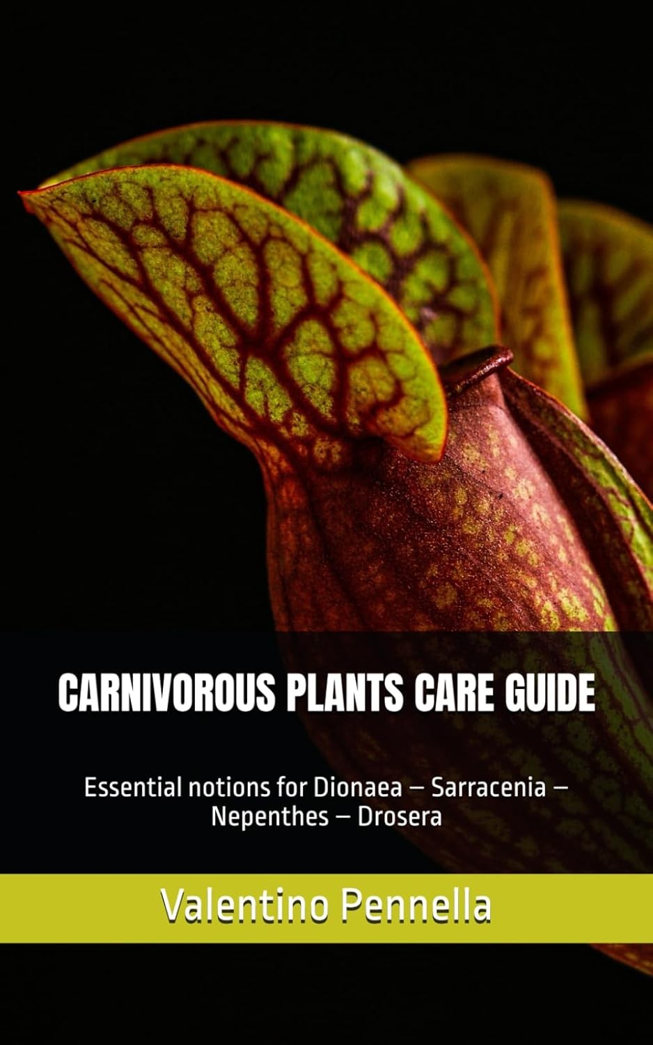 CARNIVOROUS PLANTS CARE GUIDE: Essential notions for Dionaea – Sarracenia –